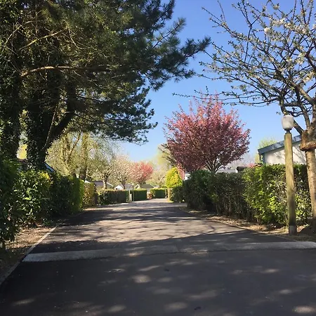 キャンプ場 Caravaning Les Cerisiers Berck Sur 4*