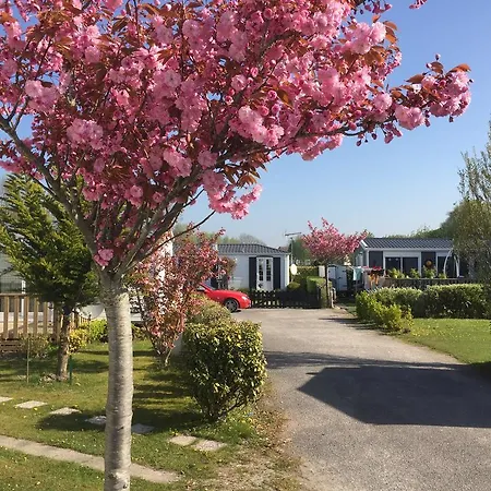 Caravaning Les Cerisiers Berck Sur キャンプ場 4*