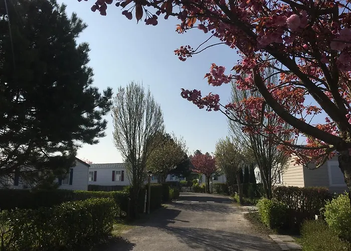 Caravaning Les Cerisiers Berck Sur 4* Verton
